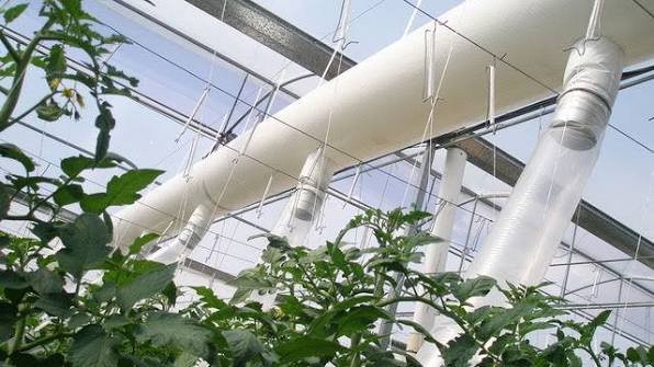 images-4